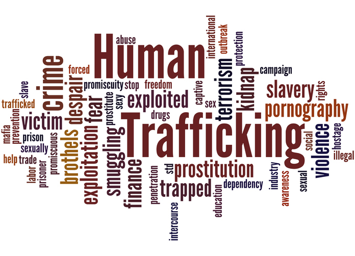 Myths And Facts Of Human Trafficking New Horizons 6869